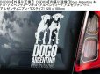 画像3: 【送料無料】カーステッカー【内張り/外張り】Dog on Board,D-【30種より選択/注文販売】ドゴ・アルヘンティーノ,ドゴ・アルベンティーノ,アルゼンチン・ドゴ,アルゼンティニアン・マスティフ,ドーベルマン,ダックスフント,ワイヤーヘアード・ダックスフント,Dogs in Transit,ワンちゃん乗ってます,ワンちゃん移動中