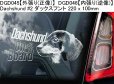 画像9: 【送料無料】カーステッカー【内張り/外張り】Dog on Board,D-【30種より選択/注文販売】ドゴ・アルヘンティーノ,ドゴ・アルベンティーノ,アルゼンチン・ドゴ,アルゼンティニアン・マスティフ,ドーベルマン,ダックスフント,ワイヤーヘアード・ダックスフント,Dogs in Transit,ワンちゃん乗ってます,ワンちゃん移動中