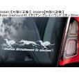 画像10: 【送料無料】カーステッカー【内張り/外張り】Dog on Board,G-【30種より選択/注文販売】オールド・ジャーマン・シェパード・ドッグ,グレイハウンド,イタリアン・グレイハウンド,ジャーマン・ショートヘアード・ポインター,ドイチャー・クルツハーリガー・フォルシュテフンド,ジャーマン・ロングヘアード・ポインター,ドイチャー・ラングハーリガー・フォルシュテフンド,ジャーマン・ワイアーヘアード・ポインター,ドイチャー・ドラードハーリガー・フォルシュテフンド (10)