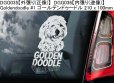 画像4: 【送料無料】カーステッカー【内張り/外張り】Dog on Board,G-【30種より選択/注文販売】ゴードン・セッター,ゴードン・セター,ゴールデンドゥードル,ベルジアン・シェパード・ドッグ・グローネンダール,ジャーマン・ショートヘアード・ポインター,ドイチャー・クルツハーリガー・フォルシュテフンド,ジャーマン・シェパード・ドッグ,グレート・スイス・マウンテン・ドッグ,グレーター・スイス・マウンテン・ドッグ,グローサー・シュバイツァー・ゼネンフント