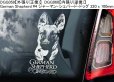 画像16: 【送料無料】カーステッカー【内張り/外張り】Dog on Board,G-【30種より選択/注文販売】ゴードン・セッター,ゴードン・セター,ゴールデンドゥードル,ベルジアン・シェパード・ドッグ・グローネンダール,ジャーマン・ショートヘアード・ポインター,ドイチャー・クルツハーリガー・フォルシュテフンド,ジャーマン・シェパード・ドッグ,グレート・スイス・マウンテン・ドッグ,グレーター・スイス・マウンテン・ドッグ,グローサー・シュバイツァー・ゼネンフント