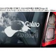 画像10: 【送料無料】カーステッカー【内張り/外張り】Dog on Board,G-【30種より選択/注文販売】グリフォン・ブリュッセル,ブリュッセル・グリフォン,グリフォン・ブリュッセロワ,グリフォン・ブリュッセル・ベルゲ,グレート・デーン,ガルゴ・エスパニョール,スパニッシュ・グレイハウンド,ゴールデン・ドゥードル,ゴールデンドゥードル,ゴールデン・レトリバー,ゴールデンレトリバー (10)