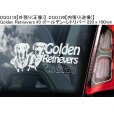 画像16: 【送料無料】カーステッカー【内張り/外張り】Dog on Board,G-【30種より選択/注文販売】グリフォン・ブリュッセル,ブリュッセル・グリフォン,グリフォン・ブリュッセロワ,グリフォン・ブリュッセル・ベルゲ,グレート・デーン,ガルゴ・エスパニョール,スパニッシュ・グレイハウンド,ゴールデン・ドゥードル,ゴールデンドゥードル,ゴールデン・レトリバー,ゴールデンレトリバー (16)