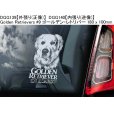 画像11: 【送料無料】カーステッカー【内張り/外張り】Dog on Board,G-【注文販売】ゴールデン・レトリバー,ゴールデンレトリバー,盲導犬,Guide Dog,ジャイアント・シュナウザー,Assistance Dog,身体障害者補助犬,ジャーマン・シェパード,ジャーマン・ロングヘアード・ポインター,ドイチャー・ラングハーリガー・フォルシュテフンド (11)