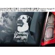 画像2: 【送料無料】カーステッカー【内張り/外張り】Dog on Board,K-【注文販売】アナトリアン・カンガール,(カンガール・ドッグ,ケリー・ブルー・テリア,クロムフォルレンダー,Kromforlander,ジャーマン・ショートヘアード・ポインター,ドイチャー・クルツハーリガー・フォルシュテフンド,コモンドール,コモンドル,ハンガリアン・シープドッグ,クライナー・ミュンスターレンダー,スモール・ミュンスターレンダー,スピオン,カレリアン・ベア・ドッグ,カレリアン・ベアハウンド,カリアラン・カルフコイラ,カレロスク・ビョルンフンド,クーバース,クヴァス,キースホンド,ジャーマン・スピッツ,ウルフ・スピッツ (2)