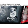 画像4: 【送料無料】カーステッカー【内張り/外張り】Dog on Board,K-【注文販売】アナトリアン・カンガール,(カンガール・ドッグ,ケリー・ブルー・テリア,クロムフォルレンダー,Kromforlander,ジャーマン・ショートヘアード・ポインター,ドイチャー・クルツハーリガー・フォルシュテフンド,コモンドール,コモンドル,ハンガリアン・シープドッグ,クライナー・ミュンスターレンダー,スモール・ミュンスターレンダー,スピオン,カレリアン・ベア・ドッグ,カレリアン・ベアハウンド,カリアラン・カルフコイラ,カレロスク・ビョルンフンド,クーバース,クヴァス,キースホンド,ジャーマン・スピッツ,ウルフ・スピッツ (4)