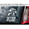 画像8: 【送料無料】カーステッカー【内張り/外張り】Dog on Board,S-【30種より選択/注文販売】ウエスト・ハイランド・ホワイト・テリア,ウェスティ,スコティッシュ・テリア,スコッティ,アバディーン・テリア,サモエド,シベリアン・スピッツ,シャーペンドース,スハペンドゥス,ダッチ・シープドッグ,スロヴェンスキー・ポインター,スロバキアン・ラフヘアード・ポインター,スロヴェンスキー・ポインティング・グリフォン,スロヴェンスキー・フルボスルスティ・スタヴァク,アイリッシュ・セッター,アイリッシュ・セター,イングリッシュ・セター,イングリッシュ・セッター,ゴードン・セッター,ゴードン・セター,サーロス・ウルフドッグ,サーロス・ウルフホンド,サールロース・ウルフドッグ,サーロース・ウルフドッグ,サールロース・ウルフホンド,サーロース・ウルフホンド (8)