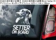 画像8: 【送料無料】カーステッカー【内張り/外張り】Dog on Board,S-【30種より選択/注文販売】ウエスト・ハイランド・ホワイト・テリア,ウェスティ,スコティッシュ・テリア,スコッティ,アバディーン・テリア,サモエド,シベリアン・スピッツ,シャーペンドース,スハペンドゥス,ダッチ・シープドッグ,スロヴェンスキー・ポインター,スロバキアン・ラフヘアード・ポインター,スロヴェンスキー・ポインティング・グリフォン,スロヴェンスキー・フルボスルスティ・スタヴァク,アイリッシュ・セッター,アイリッシュ・セター,イングリッシュ・セター,イングリッシュ・セッター,ゴードン・セッター,ゴードン・セター,サーロス・ウルフドッグ,サーロス・ウルフホンド,サールロース・ウルフドッグ,サーロース・ウルフドッグ,サールロース・ウルフホンド,サーロース・ウルフホンド