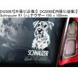 画像15: 【送料無料】カーステッカー【内張り/外張り】Dog on Board,S-【30種より選択/注文販売】シェルティー,シェットランド・シープドッグ,スプリンガー・スパニエル,イングリッシュ・スプリンガー・スパニエル,ウェルシュ・スプリンガー・スパニエル, ミニチュア・シュナウザー,シュナウザー (15)