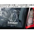 画像16: 【送料無料】カーステッカー【内張り/外張り】Dog on Board,S-【30種より選択/注文販売】シェルティー,シェットランド・シープドッグ,スプリンガー・スパニエル,イングリッシュ・スプリンガー・スパニエル,ウェルシュ・スプリンガー・スパニエル, ミニチュア・シュナウザー,シュナウザー (16)