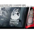 画像5: 【送料無料】カーステッカー【内張り/外張り】Dog on Board,S-【30種より選択/注文販売】シェルティー,シェットランド・シープドッグ,スプリンガー・スパニエル,イングリッシュ・スプリンガー・スパニエル,ウェルシュ・スプリンガー・スパニエル, ミニチュア・シュナウザー,シュナウザー (5)