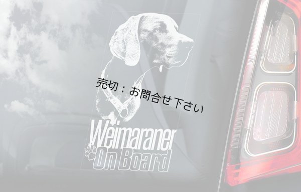 画像2: 【送料無料／在庫あり かっこいい おしゃれ ステッカー ご購入後スグ発送】カーステッカー シール【外張り(外貼り)】185×100mm■ワイマラナー・フォルステフント,ワイマラナー フォルステフント,ワイマラナーフォルステフント,ワイマラナー