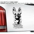 画像15: 【送料無料】カーステッカー【内張り/外張り】Dog on Board,G-【注文販売】ゴールデン・レトリバー,ゴールデンレトリバー,盲導犬,Guide Dog,ジャイアント・シュナウザー,Assistance Dog,身体障害者補助犬,ジャーマン・シェパード,ジャーマン・ロングヘアード・ポインター,ドイチャー・ラングハーリガー・フォルシュテフンド (15)