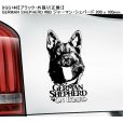 画像17: 【送料無料】カーステッカー【内張り/外張り】Dog on Board,G-【注文販売】ゴールデン・レトリバー,ゴールデンレトリバー,盲導犬,Guide Dog,ジャイアント・シュナウザー,Assistance Dog,身体障害者補助犬,ジャーマン・シェパード,ジャーマン・ロングヘアード・ポインター,ドイチャー・ラングハーリガー・フォルシュテフンド (17)