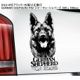 画像16: 【送料無料】カーステッカー【内張り/外張り】Dog on Board,G-【注文販売】ゴールデン・レトリバー,ゴールデンレトリバー,盲導犬,Guide Dog,ジャイアント・シュナウザー,Assistance Dog,身体障害者補助犬,ジャーマン・シェパード,ジャーマン・ロングヘアード・ポインター,ドイチャー・ラングハーリガー・フォルシュテフンド (16)