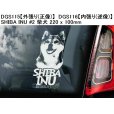 画像14: 【送料無料】カーステッカー【内張り/外張り】Dog on Board,S-【30種より選択/注文販売】柴犬,シュナウザー,ジャイアント・シュナウザー,シーズー,サルーキ,プリント・ハウンド,ペルシアン・グレイハウンド,ガゼル・ハウンド,オールド・イングリッシュ・シープドッグ,アジリティー・シェルティー (14)