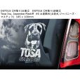 画像9: 【送料無料】カーステッカー【内張り/外張り】Dog on Board,T-【注文販売】ベルジアン・タービュレン,ベルジアン・シェパード・ドッグ・タービュレン,チベタン・テリア,テリア・ブラジレイロ,ブラジリアン・テリア,ブラジリアン・フォックス,フォックス・パウリスティーニャ,土佐闘犬,土佐犬,ジャパニーズ・マスティフ,チベタン・マスティフ,チベット犬,チベタン・スパニエル,チベタン・プレイヤー・ドッグ,イェムツェ・アプソ,ジャーマン・ハンティング・テリア,ヤークトテリア,ジャーマン・スピッツ,タマスカン・ドッグ,タマスカン・ハスキー,ノーザン・イヌイット・ドッグ,ウトナーガン (9)