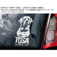 画像8: 【送料無料】カーステッカー【内張り/外張り】Dog on Board,T-【注文販売】ベルジアン・タービュレン,ベルジアン・シェパード・ドッグ・タービュレン,チベタン・テリア,テリア・ブラジレイロ,ブラジリアン・テリア,ブラジリアン・フォックス,フォックス・パウリスティーニャ,土佐闘犬,土佐犬,ジャパニーズ・マスティフ,チベタン・マスティフ,チベット犬,チベタン・スパニエル,チベタン・プレイヤー・ドッグ,イェムツェ・アプソ,ジャーマン・ハンティング・テリア,ヤークトテリア,ジャーマン・スピッツ,タマスカン・ドッグ,タマスカン・ハスキー,ノーザン・イヌイット・ドッグ,ウトナーガン (8)