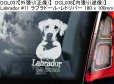 画像12: 【送料無料】カーステッカー【内張り/外張り】【注文販売】Dog on Board【ラブラドール特集】ラブラドール・レトリバー,ラブ, ブラック・ラブラドール・レトリバー,ラブ・テイスティッド