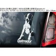 画像9: 【送料無料】カーステッカー【内張り/外張り】【注文販売】Dog on Board【ラブラドール特集】ラブラドール・レトリバー,ラブ, ブラック・ラブラドール・レトリバー,ラヴ・テイスティッド,盲導犬 ,盲導犬(子犬,仔犬),身体障害者補助犬,自閉症児向け介助犬,ダルメシアン ラブラドール ミックス,ダルマドール,ラブメシアン (9)