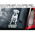 画像2: 【送料無料】カーステッカー【内張り/外張り】【注文販売】Dog on Board【ラブラドール特集】ラブラドール・レトリバー,ラブ, ブラック・ラブラドール・レトリバー,ラブ・テイスティッド (2)
