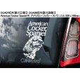 画像10: 【送料無料】カーステッカー【内張り/外張り】【注文販売】Dog on Board【中型犬特集】ボーダーコリー,ボーダー・コリー,コリー,アジリティ,アジリティ・ドッグ,ビーグル,アメリカン・コッカー・スパニエル,アメリカンコッカースパニエル,アメリカン・コッカー,コッカー・スパニエル ,コッカースパニエル,シェルティー,シェットランド・シープドッグ,シェットランドシープドッグ,シェットランド,シープドッグ (10)