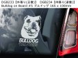 画像13: 【送料無料】カーステッカー【内張り/外張り】【注文販売】Dog on Board【中型犬特集】シェルティー,シェットランド・シープドッグ,シェットランドシープドッグ,シェットランド,シープドッグ,ジャパニーズ・スピッツ,ジャパニーズスピッツ,スピッツ,ブルドッグ