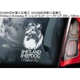 画像5: 【送料無料】カーステッカー【内張り/外張り】【注文販売】Dog on Board【中型犬特集】シェルティー,シェットランド・シープドッグ,シェットランドシープドッグ,シェットランド,シープドッグ,ジャパニーズ・スピッツ,ジャパニーズスピッツ,スピッツ,ブルドッグ (5)