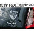 画像9: 【送料無料】カーステッカー【内張り/外張り】【注文販売】Dog on Board【中型犬特集】フレンチ・ブルドッグ,フレンチブルドッグ,フレンチブル,柴犬,ウェルシュ・コーギー・カーディガン,ウェルシュ・コーギー・ペンブローク,ウェルシュ・コーギー,ウェルシュコーギー,コーギー,ボストンテリア,ボストン・テリア,ボーダーコリー,ボーダー・コリー,コリー (9)