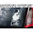 画像16: 【送料無料】カーステッカー【内張り/外張り】【注文販売】Dog on Board【中型犬特集】フレンチ・ブルドッグ,フレンチブルドッグ,フレンチブル,柴犬,ウェルシュ・コーギー・カーディガン,ウェルシュ・コーギー・ペンブローク,ウェルシュ・コーギー,ウェルシュコーギー,コーギー,ボストンテリア,ボストン・テリア,ボーダーコリー,ボーダー・コリー,コリー (16)