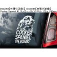 画像13: 【送料無料】カーステッカー【内張り/外張り】【注文販売】Dog on Board【中型犬特集】ボーダーコリー,ボーダー・コリー,コリー,アジリティ,アジリティ・ドッグ,ビーグル,アメリカン・コッカー・スパニエル,アメリカンコッカースパニエル,アメリカン・コッカー,コッカー・スパニエル ,コッカースパニエル,シェルティー,シェットランド・シープドッグ,シェットランドシープドッグ,シェットランド,シープドッグ (13)