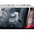 画像14: 【送料無料】カーステッカー【内張り/外張り】【注文販売】Dog on Board【中型犬特集】ボーダーコリー,ボーダー・コリー,コリー,アジリティ,アジリティ・ドッグ,ビーグル,アメリカン・コッカー・スパニエル,アメリカンコッカースパニエル,アメリカン・コッカー,コッカー・スパニエル ,コッカースパニエル,シェルティー,シェットランド・シープドッグ,シェットランドシープドッグ,シェットランド,シープドッグ (14)