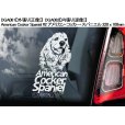 画像11: 【送料無料】カーステッカー【内張り/外張り】【注文販売】Dog on Board【中型犬特集】ボーダーコリー,ボーダー・コリー,コリー,アジリティ,アジリティ・ドッグ,ビーグル,アメリカン・コッカー・スパニエル,アメリカンコッカースパニエル,アメリカン・コッカー,コッカー・スパニエル ,コッカースパニエル,シェルティー,シェットランド・シープドッグ,シェットランドシープドッグ,シェットランド,シープドッグ (11)