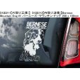 画像9: 【送料無料】カーステッカー【内張り/外張り】【注文販売】Dog on Board【人気大型犬特集】シベリアン・ハスキー,シベリアンハスキー,ハスキー,身体障害者補助犬,アシスタント・ドッグ.アシスタンス・ドッグ,バーニーズ・マウンテン・ドッグ,バーニーズマウンテンドッグ,バーニーズ,マウンテンドッグ,ダルメシアン,ラブラドール,ミックス,ダルマドール,ラブメシアン (9)