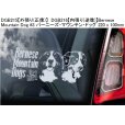 画像11: 【送料無料】カーステッカー【内張り/外張り】【注文販売】Dog on Board【人気大型犬特集】シベリアン・ハスキー,シベリアンハスキー,ハスキー,身体障害者補助犬,アシスタント・ドッグ.アシスタンス・ドッグ,バーニーズ・マウンテン・ドッグ,バーニーズマウンテンドッグ,バーニーズ,マウンテンドッグ,ダルメシアン,ラブラドール,ミックス,ダルマドール,ラブメシアン (11)