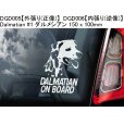 画像12: 【送料無料】カーステッカー【内張り/外張り】【注文販売】Dog on Board【人気大型犬特集】シベリアン・ハスキー,シベリアンハスキー,ハスキー,身体障害者補助犬,アシスタント・ドッグ.アシスタンス・ドッグ,バーニーズ・マウンテン・ドッグ,バーニーズマウンテンドッグ,バーニーズ,マウンテンドッグ,ダルメシアン,ラブラドール,ミックス,ダルマドール,ラブメシアン (12)