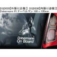 画像6: 【送料無料】カーステッカー【内張り/外張り】【注文販売】Dog on Board【人気大型犬特集】フラットコーテッド・レトリーバー,フラットコーテッドレトリーバー,レトリーバー,グレート・ピレニーズ,ピレニアン・マウンテン・ドッグ,グレートピレニーズ,ドーベルマン,ボルゾイ (6)