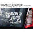 画像5: 【送料無料】カーステッカー【内張り/外張り】Dog on Board,T-【注文販売】タマスカン・ドッグ,タマスカン・ハスキー,ノーザン・イヌイット・ドッグ,ウトナーガン (5)