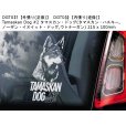 画像2: 【送料無料】カーステッカー【内張り/外張り】Dog on Board,T-【注文販売】タマスカン・ドッグ,タマスカン・ハスキー,ノーザン・イヌイット・ドッグ,ウトナーガン (2)
