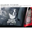 画像4: 【送料無料】カーステッカー【内張り/外張り】Dog on Board,S-【注文販売】セント・バーナード,セントバーナード,セント・ベルンハルトシュンド,ベルンハルディナー,アルパイン・マスティフ,シャー・ペイ,シャーペイ,スルーギ,アラビアン・グレイハウンド,ミニチュア・シュナウザー,シュナウザー,Got Schnauzer?,ウェルシュ・スプリンガー・スパニエル (4)