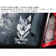 画像3: 【送料無料】カーステッカー【内張り/外張り】Dog on Board,T-【注文販売】タマスカン・ドッグ,タマスカン・ハスキー,ノーザン・イヌイット・ドッグ,ウトナーガン (3)