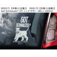 画像12: 【送料無料】カーステッカー【内張り/外張り】Dog on Board,S-【注文販売】セント・バーナード,セントバーナード,セント・ベルンハルトシュンド,ベルンハルディナー,アルパイン・マスティフ,シャー・ペイ,シャーペイ,スルーギ,アラビアン・グレイハウンド,ミニチュア・シュナウザー,シュナウザー,Got Schnauzer?,ウェルシュ・スプリンガー・スパニエル (12)