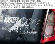 画像10: 【送料無料】カーステッカー【内張り/外張り】Dog on Board,M-【注文販売】マンチェスター・テリア,ジェントルマンズ・テリア,トイ・マンチェスター・テリア,モーキエ(マルキースィエ雄 X ヨークシャー・テリア雌),マスティン・エスパニョール,スパニッシュ・マスティフ,マスティン・デ・ラ・マンチャ,マスティフ,マスチフ,イングリッシュ・マスティフ,イングリッシュ・モロシアン,イングリッシュ・モロサス,ムーディ,ハンガリアン・ムーディ,ムディ・ア・ハンガリア,マレンマ・シープドッグ,マレンマ・シープドッグ・マレンマーノ,パストーレ・マレンマーノ・アヴレツエーゼ