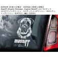 画像6: 【送料無料】カーステッカー【内張り/外張り】Dog on Board,M-【注文販売】マンチェスター・テリア,ジェントルマンズ・テリア,トイ・マンチェスター・テリア,モーキエ(マルキースィエ雄 X ヨークシャー・テリア雌),マスティン・エスパニョール,スパニッシュ・マスティフ,マスティン・デ・ラ・マンチャ,マスティフ,マスチフ,イングリッシュ・マスティフ,イングリッシュ・モロシアン,イングリッシュ・モロサス,ムーディ,ハンガリアン・ムーディ,ムディ・ア・ハンガリア,マレンマ・シープドッグ,マレンマ・シープドッグ・マレンマーノ,パストーレ・マレンマーノ・アヴレツエーゼ (6)