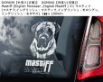 画像6: 【送料無料】カーステッカー【内張り/外張り】Dog on Board,M-【注文販売】マンチェスター・テリア,ジェントルマンズ・テリア,トイ・マンチェスター・テリア,モーキエ(マルキースィエ雄 X ヨークシャー・テリア雌),マスティン・エスパニョール,スパニッシュ・マスティフ,マスティン・デ・ラ・マンチャ,マスティフ,マスチフ,イングリッシュ・マスティフ,イングリッシュ・モロシアン,イングリッシュ・モロサス,ムーディ,ハンガリアン・ムーディ,ムディ・ア・ハンガリア,マレンマ・シープドッグ,マレンマ・シープドッグ・マレンマーノ,パストーレ・マレンマーノ・アヴレツエーゼ