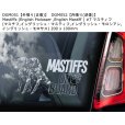 画像12: 【送料無料】カーステッカー【内張り/外張り】Dog on Board,M-【注文販売】マンチェスター・テリア,ジェントルマンズ・テリア,トイ・マンチェスター・テリア,モーキエ(マルキースィエ雄 X ヨークシャー・テリア雌),マスティン・エスパニョール,スパニッシュ・マスティフ,マスティン・デ・ラ・マンチャ,マスティフ,マスチフ,イングリッシュ・マスティフ,イングリッシュ・モロシアン,イングリッシュ・モロサス,ムーディ,ハンガリアン・ムーディ,ムディ・ア・ハンガリア,マレンマ・シープドッグ,マレンマ・シープドッグ・マレンマーノ,パストーレ・マレンマーノ・アヴレツエーゼ (12)