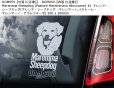 画像16: 【送料無料】カーステッカー【内張り/外張り】Dog on Board,M-【注文販売】マンチェスター・テリア,ジェントルマンズ・テリア,トイ・マンチェスター・テリア,モーキエ(マルキースィエ雄 X ヨークシャー・テリア雌),マスティン・エスパニョール,スパニッシュ・マスティフ,マスティン・デ・ラ・マンチャ,マスティフ,マスチフ,イングリッシュ・マスティフ,イングリッシュ・モロシアン,イングリッシュ・モロサス,ムーディ,ハンガリアン・ムーディ,ムディ・ア・ハンガリア,マレンマ・シープドッグ,マレンマ・シープドッグ・マレンマーノ,パストーレ・マレンマーノ・アヴレツエーゼ