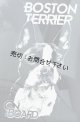 【送料無料／在庫あり かっこいい おしゃれ ステッカー ご購入後スグ発送】カーステッカー シール【外張り(外貼り)】220×100mm■ボストン・テリア/ボストンテリア/ボストン テリア