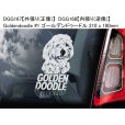 画像10: 【送料無料】カーステッカー【内張り/外張り】Dog on Board,G-【注文販売】クライン・スピッツ,ジャーマン・クライン・スピッツ,ジャーマン・スピッツ,ジャーマン・シェパード・ドッグ,ゴールデン・ドゥードル (10)