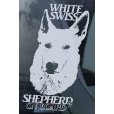 画像1: 【送料無料／在庫あり かっこいい おしゃれ ステッカー ご購入後スグ発送】カーステッカー シール【外張り(外貼り)】220×100mm■ホワイト・スイス・シェパード・ドッグ/アメリカン・カナディアン・ホワイト・シェパード/ホワイト・シェパード/White Swiss Shepherd Dog #1 (1)